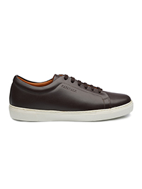Brown Plain Classic Sneaker main shoe image