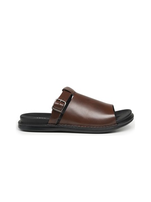 alt color Brown thumb image